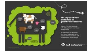 Brahma Chellaney series