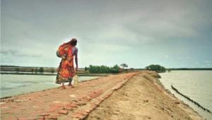 floodwater recedes.jpg