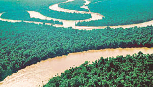 inter linking river.jpg