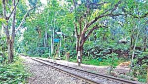 Lawachhara Reserve National Forest