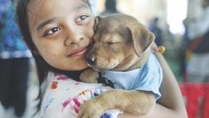 How to prepare your First Pet Dog