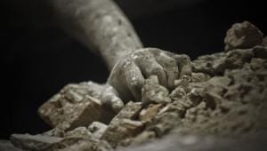 Rana Plaza collapse.jpg