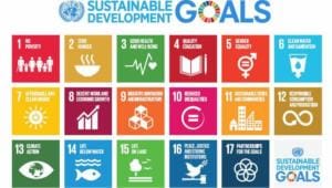 sdg goals.jpg