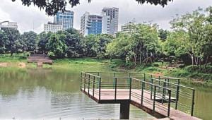 social responsibility