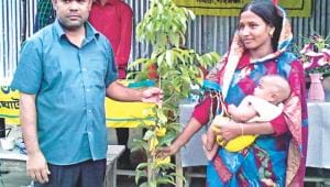 trees for new born.jpg