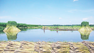 water management.jpg