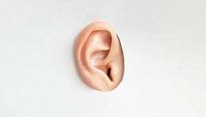 ear.jpg