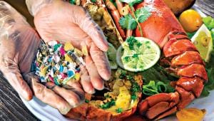 microplastic-seafood.jpg