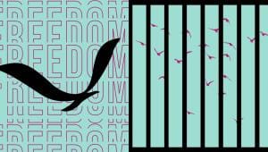 Freedom of the press.jpg