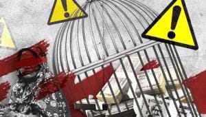 Bangladesh social safety net budget