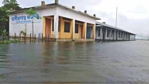 climate change adaptation