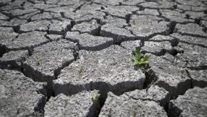 desertification-and-drought-day.jpg