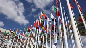 No One Wins in a Lose-Lose World