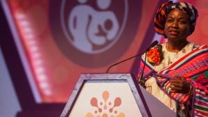 Why the global dialogue on demographic diversity is critical