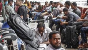 Syndicate wins, migrants suffer, country loses