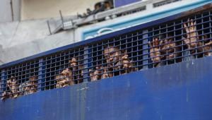 Why cancel prisoners’ right to visitation?