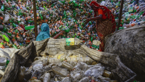 The plastic paradox.png