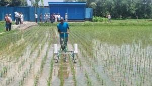 ed_2_revolutionising_rice_farming_photo_courtesy_02042025_0361_tam.jpg