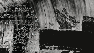 star literature poetry 