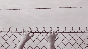 world refugee day 2025