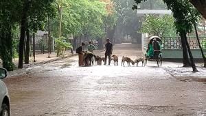 my dhaka -- kalu.jpg