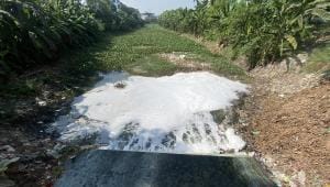 Barnoi river in Rajshahi.jpg