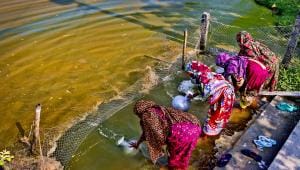 Salt in Their Throats.jpg