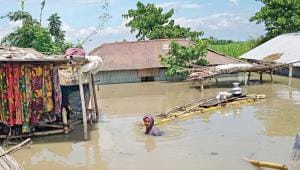 COP30 climate change