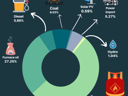 figure_2_-_power_plants_based_on_fuel_type_in_bangladesh_as_of_2020-21.png