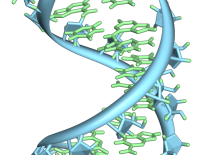 3 theory of life-wiki.png