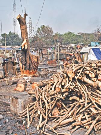 Shanties reconstructed