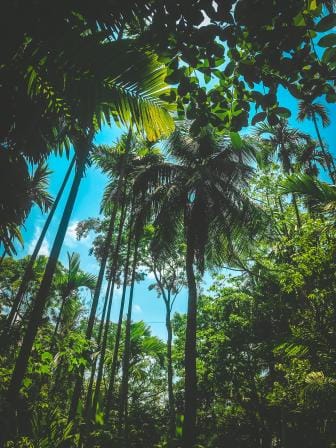 Guide to exploring Barishal on a budget