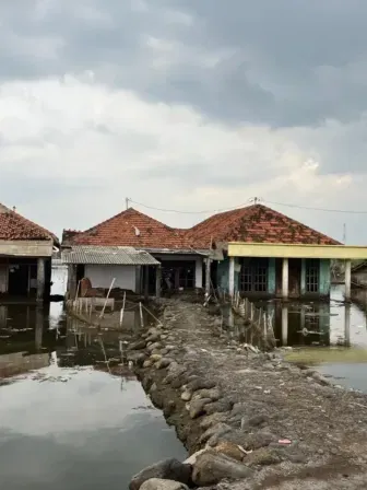 Climate change impacts