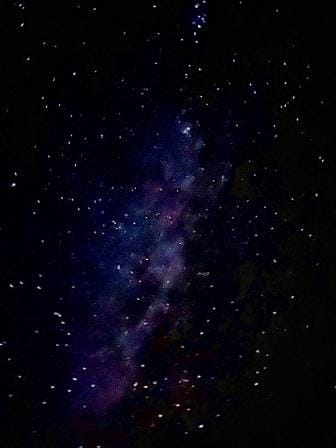 Footsteps to heaven: Embarking on the ethereal Mardi Himal Trek in Nepal