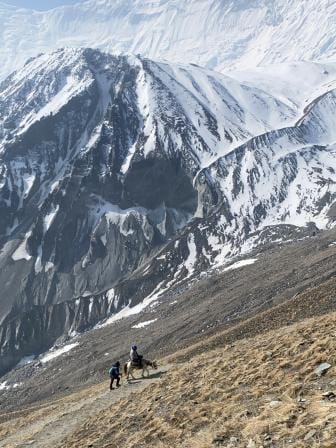 Footsteps to heaven: Embarking on the ethereal Mardi Himal Trek in Nepal