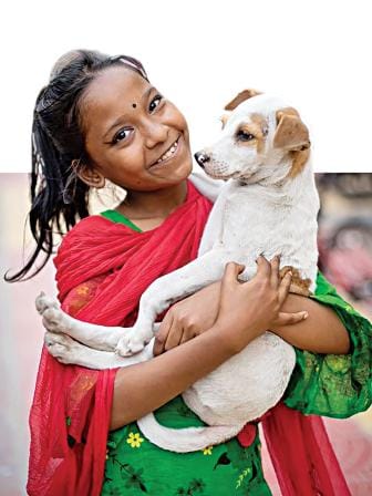 Dhaka street animals