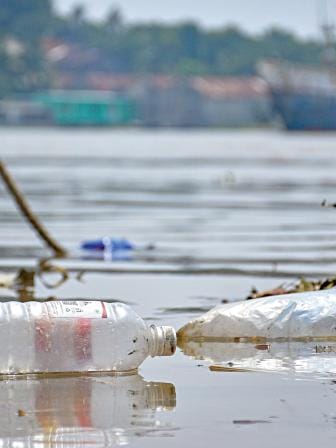 plastic-pollution-3.jpg