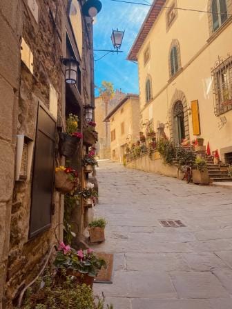 cortona_2.jpg