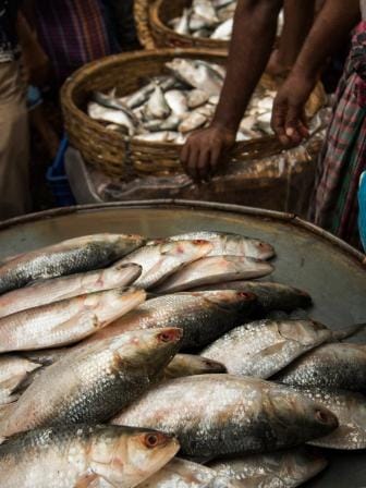 Rethink your food habits for affordable and healthy options