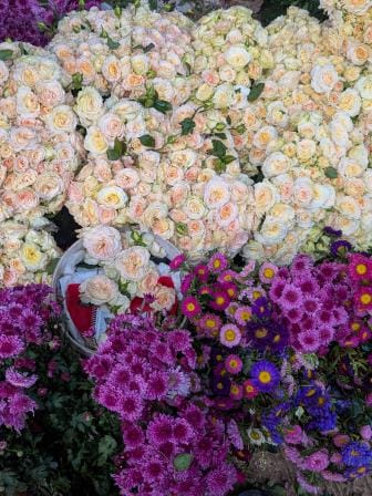 Valentine’s and Falgun shifts Dhaka's flower markets into overdrive before the city wakes
