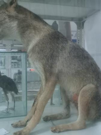 For Weekend Read_91d2.jpg