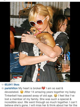 Paris Hilton mourns pooch Tinkerbell's death