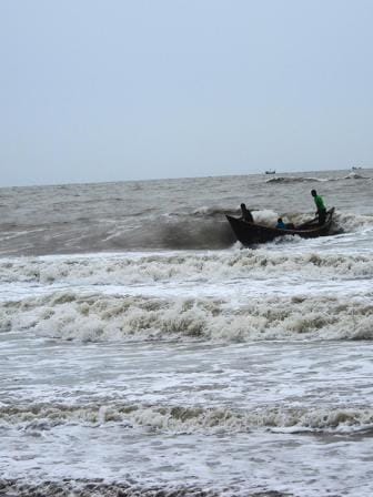 wild-sea-Patuakhali