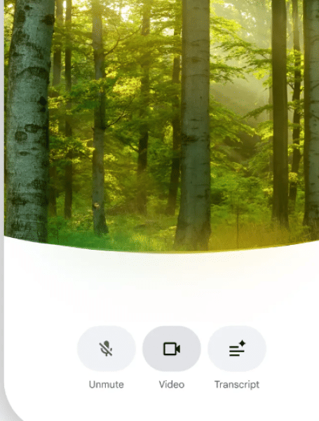 Google search live