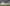 Mushfiqur Rizwan Sylhet Test.jpeg