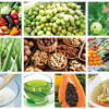 Healthy Diet Tips for dengue fever patients Best healthy Diet Tips