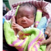 Newborn Newborn