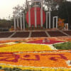 International Mother Language Day 2019 International Mother Language Day 2019