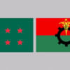 Flag of Awami League and Bangladesh Nationalist Party Flag of Awami League and Bangladesh Nationalist Party