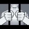 Arrest Arrest